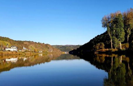 Haus Moselblick Hatzenport - Foto 37