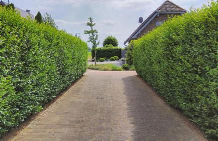 Ferienhaus-Kalkar - Foto 35