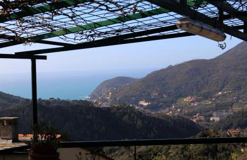 Cottage La Terrazza - Foto 1