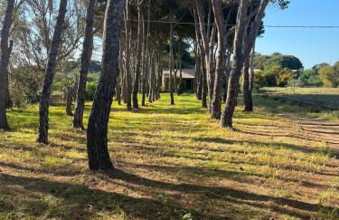 CALABRIA- CASA SUL MARE La Camilluccia - Foto 58