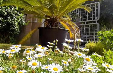 Cortile nel Conero - Foto 16