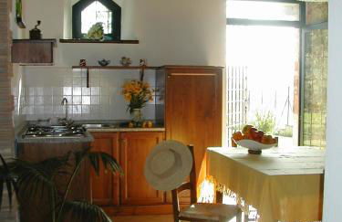 Agricola Caicucci - Foto 32