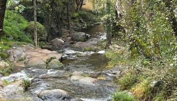 Alojamiento El Olvido en Piedralaves - Photo 3