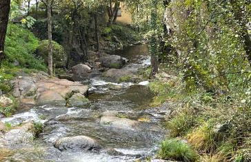 Alojamiento El Olvido en Piedralaves - Photo 3