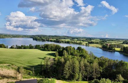 Brzozowy Chillout - Foto 27