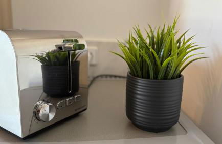 Haus am Röblinsee - Ferienwohnungen in Fürstenberg - Photo 36