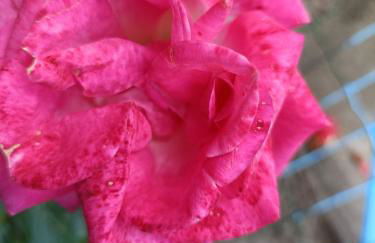 Casa Franca - Apartment in the countryside with garden - Foto 46