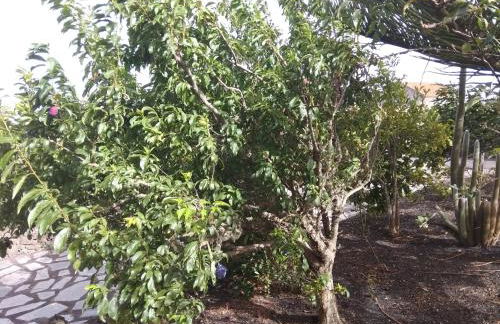 Casa Rural Amapola - Foto 28