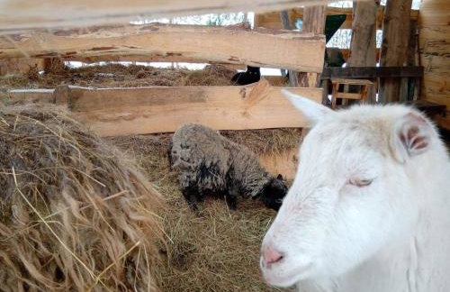 Zacisze Markowszczyzna - Foto 51