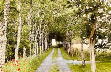 The Field Room - Hut on The Lizard - Foto 24
