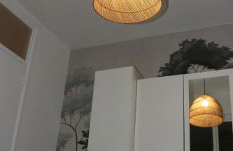 Charmant et Cosy T2, Hyper-centre - Foto 13