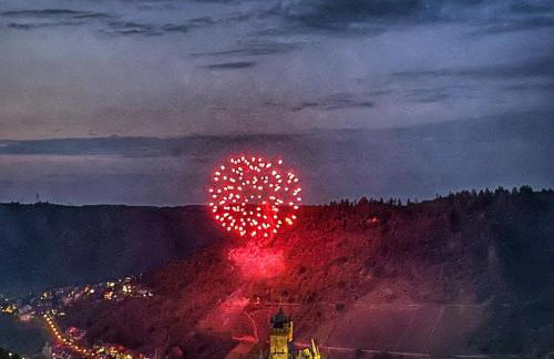 Fewo Burg,Mosel,Tal-Blick - Foto 10