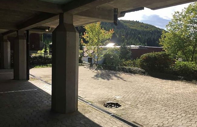 Nice Apartment in Sasbachwalden - Foto 11