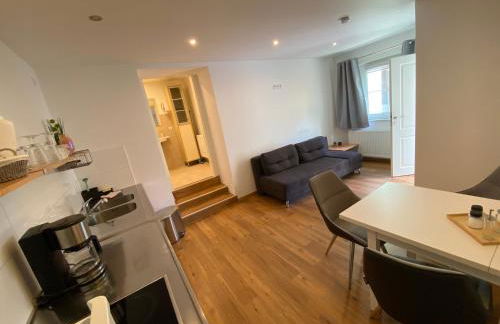 Ferienwohnung Scheuring Flügel EG - Foto 6