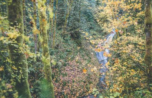 Cedar Creek Hideaway - Meredith Lodging - Foto 41