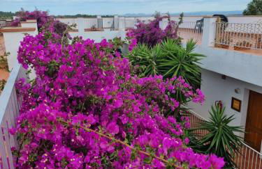 El Penell Estudi Mestral - Foto 14