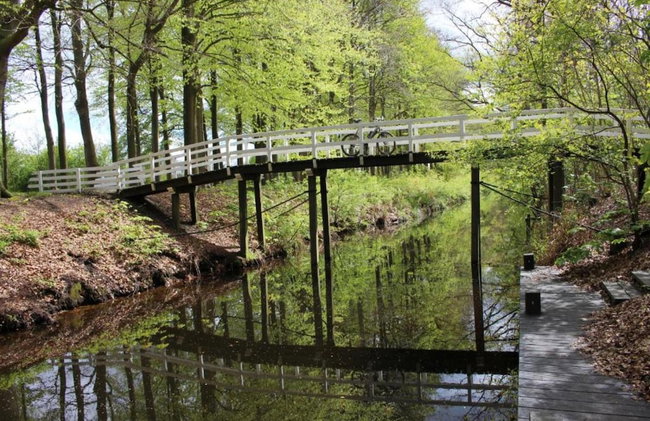 Holiday Home in Balk Near Frisian Lakes - Foto 24