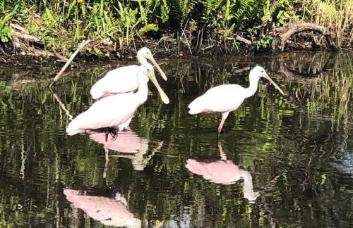 Panoramic Waterfront View - Foto 31