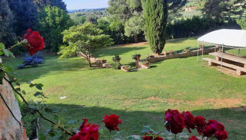 Il Moreto - Foto 2, Garden view