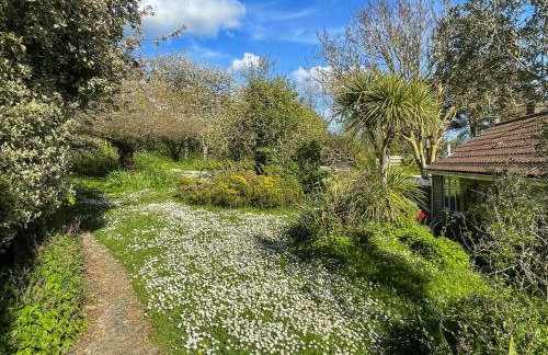 Mimosa - Uk51224 - Foto 18