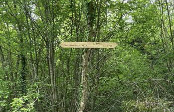 Casa Cecilia - Foto 21