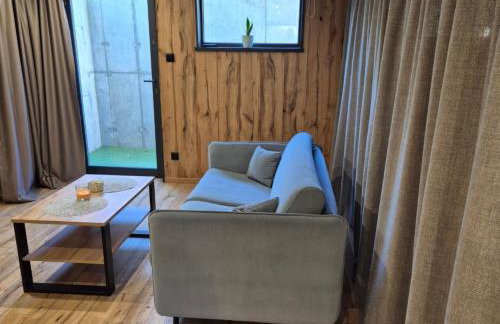 Beskidy Basement Studio - Foto 11