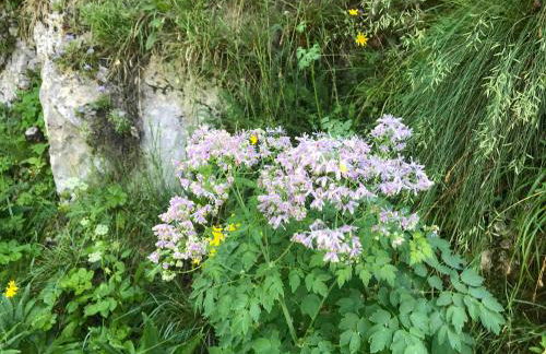 Casadelsale - Foto 16