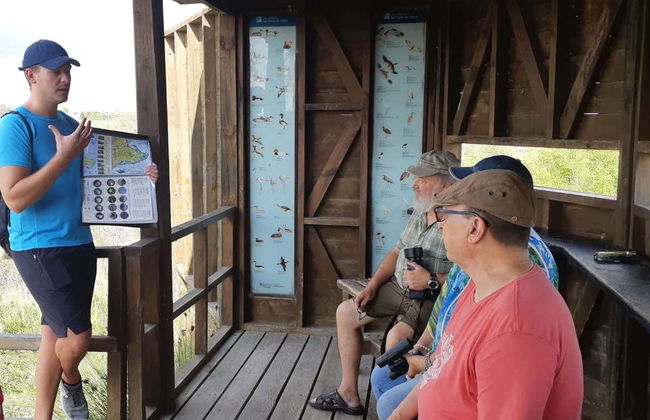 Tour en 4x4 y kayak por el Delta del Ebro - Foto 4