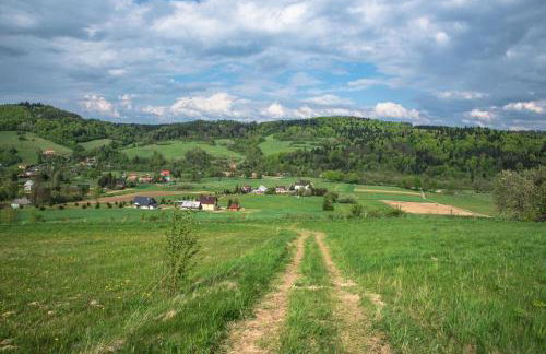 Domek "PRZYBYSZÓWKA" Bieszczady - Foto 24