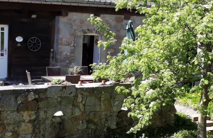 Ferienhof Zollfrank - Foto 22