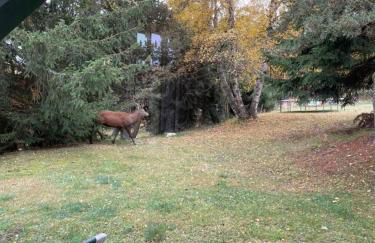 Chalet L'Eider - Foto 22