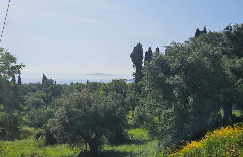 Sylvia's Sweet Home - Foto 41