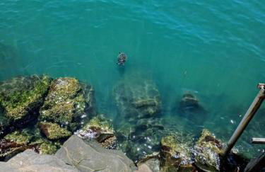 J U N Q U E I R A i - Photo 34