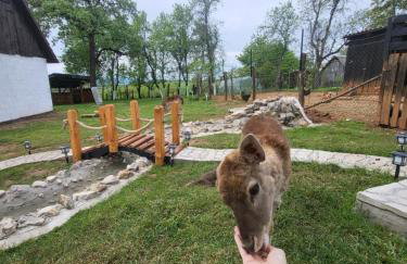 Apartment Dado - Foto 38