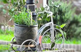 Apartments Sabo - Photo 25