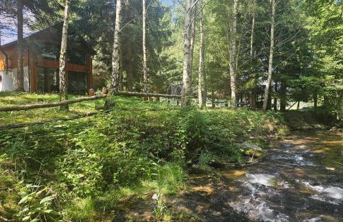 Nad Potokiem z Alpakami - Foto 28