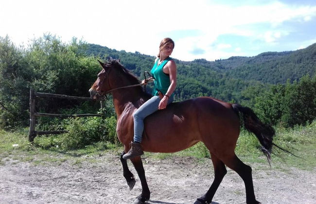 Le Chianine dei Tognoli - Foto 9