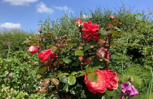 The Retreat, Clematis cottages, Stamford - Foto 37