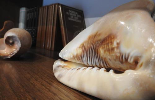 Casa Velha - Photo 36