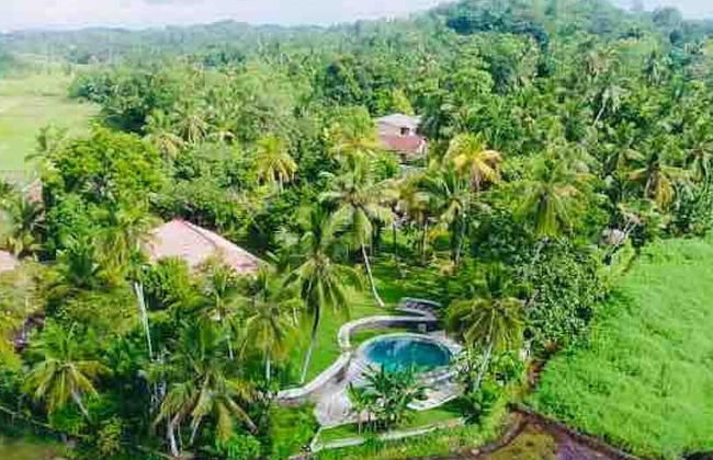 Romantic Honeymoon Villa Overlooking Rice Fields - Foto 3