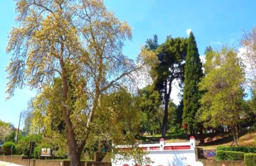 Gousios Apartments - Foto 29