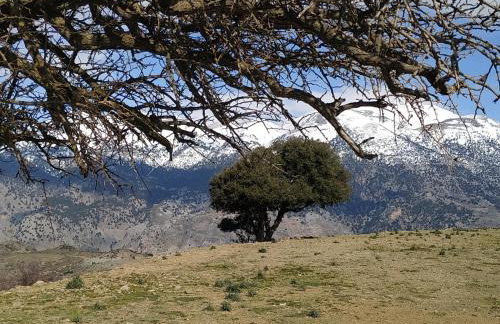 Il Silenzio - Foto 61