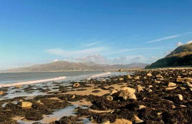 Cabin Cynthia - Foto 36