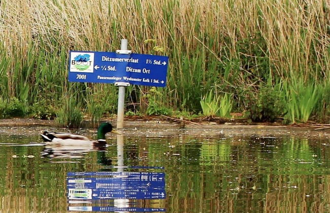 Henny Modern Retreat - Foto 13