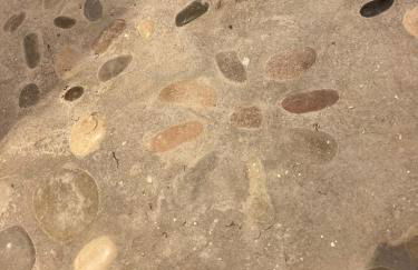 Le Mouton à 5 Pattes Aubagne-Cassis-Aix en Provence - Foto 14