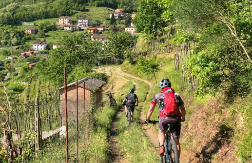 La Locanda del Moro - Foto 65