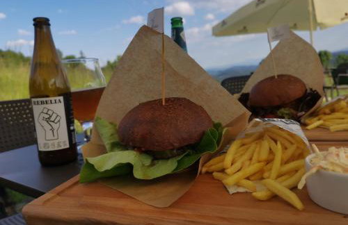 Jaworowy Stok z widokiem na góry i ogrodem - Foto 57