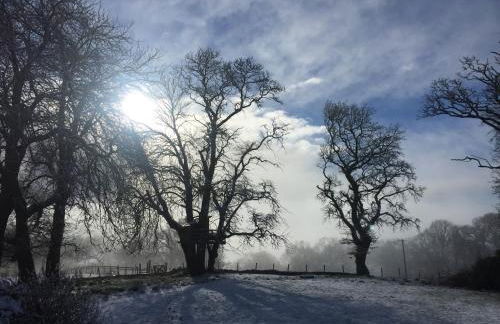 Willow Cottage, Gilchristland Organic Farm - Foto 18