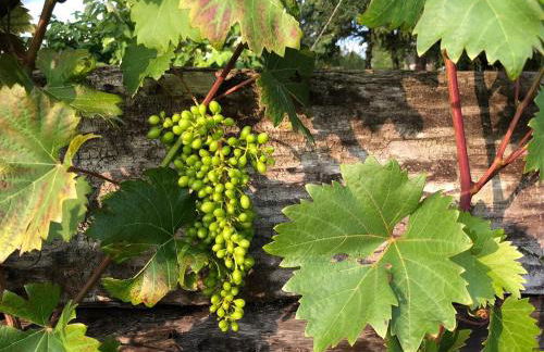 BERG WELT im Erzgebirge - Photo 54