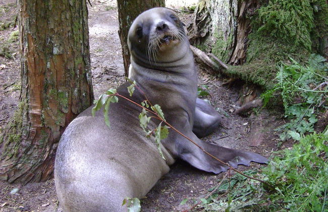 Catlins Newhaven Holiday Park - Foto 50